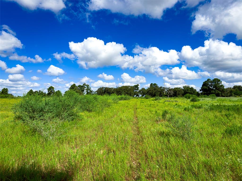 TBD Sh 95, Bastrop, Texas image 35