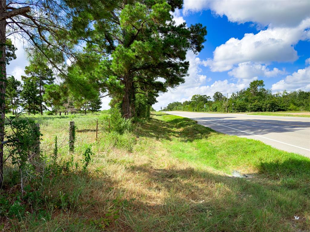 TBD Sh 95, Bastrop, Texas image 27