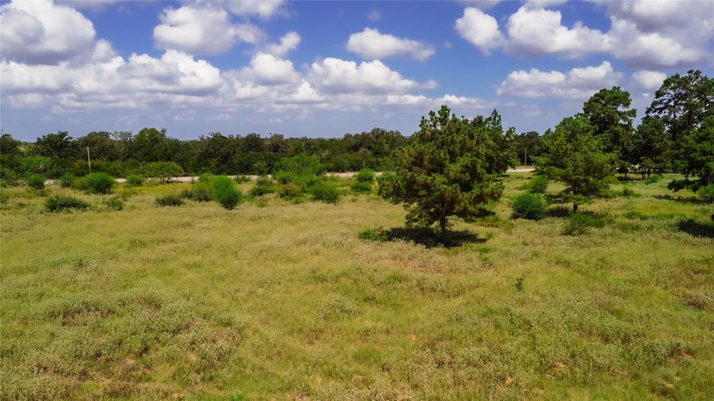 TBD Sh 95, Bastrop, Texas image 24