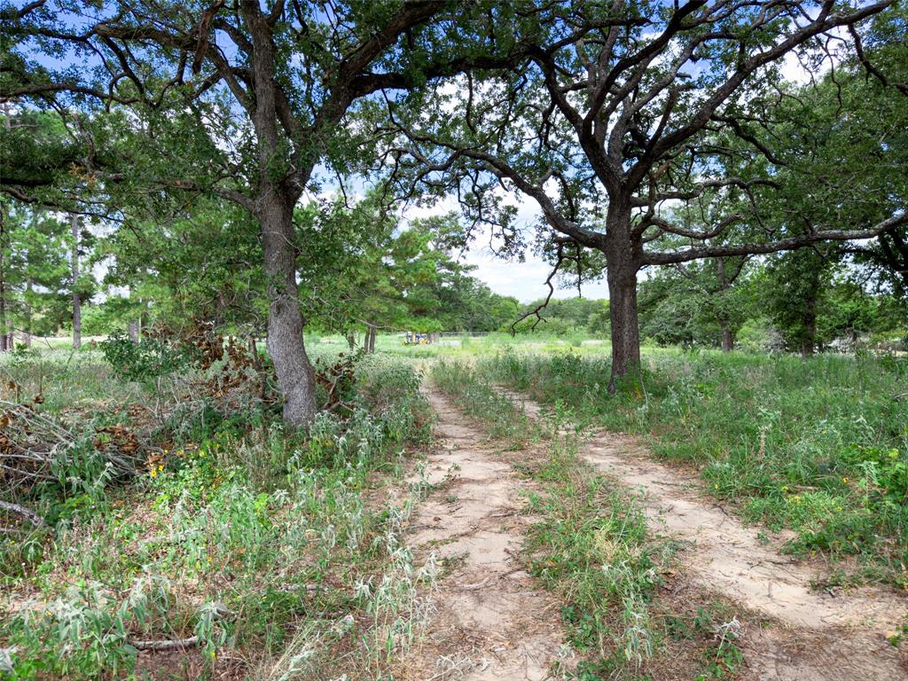 TBD Sh 95, Bastrop, Texas image 42