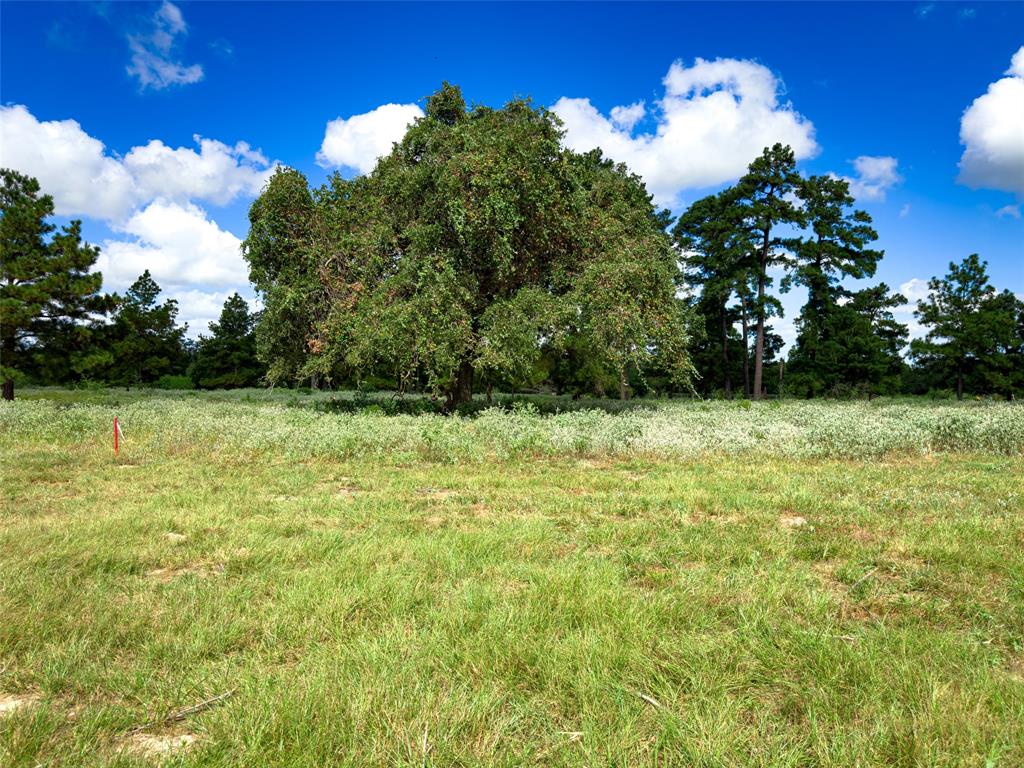 TBD Sh 95, Bastrop, Texas image 38