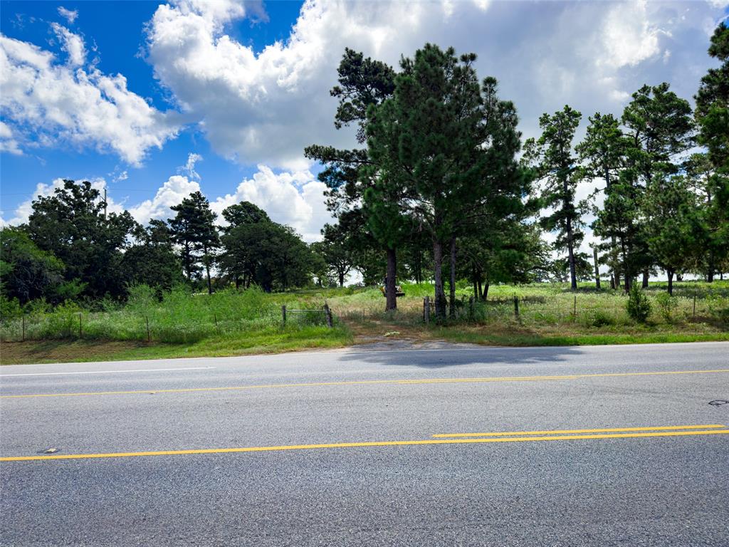 TBD Sh 95, Bastrop, Texas image 26