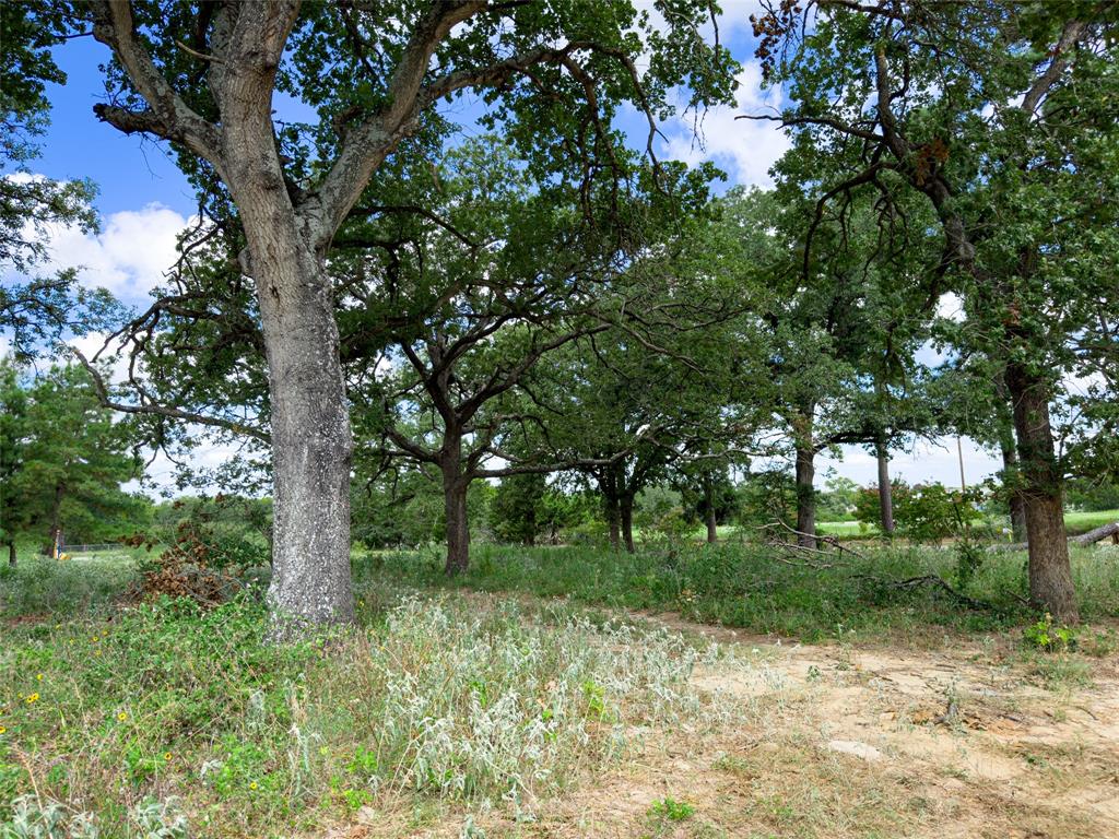 TBD Sh 95, Bastrop, Texas image 39