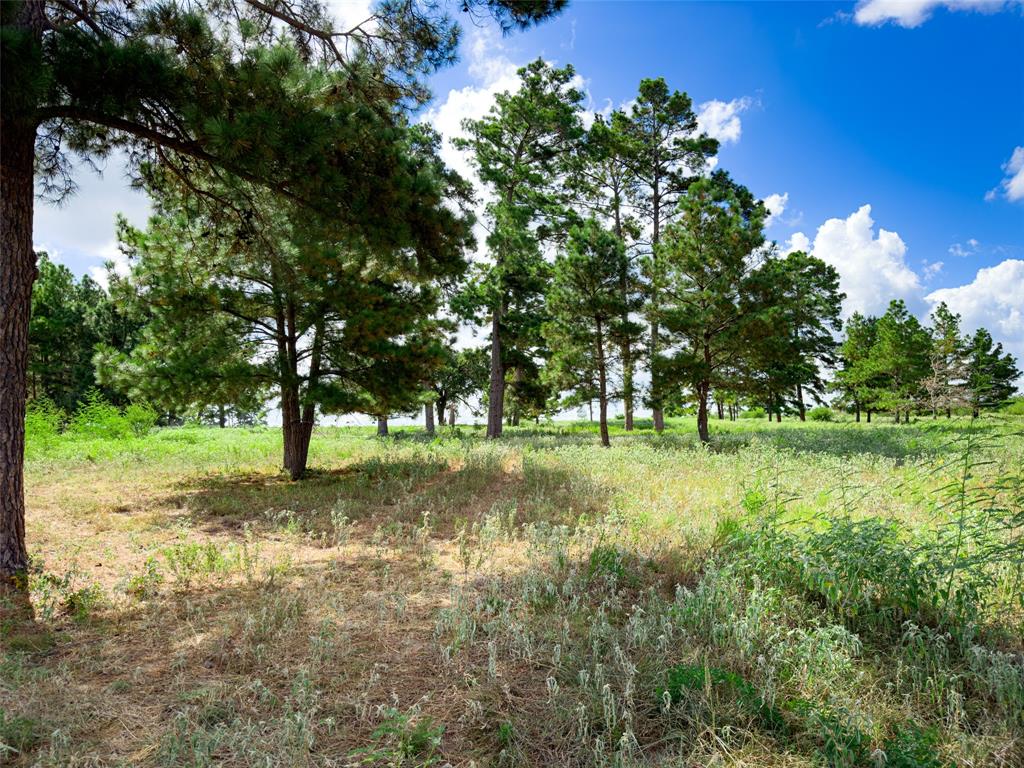 TBD Sh 95, Bastrop, Texas image 29