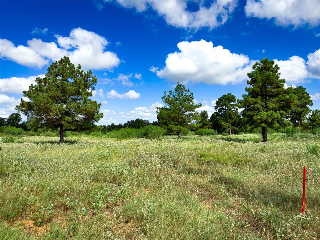 TBD Sh 95, Bastrop, Texas image 37