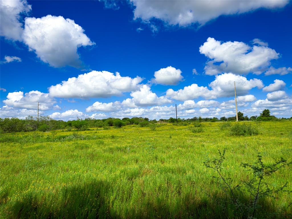 TBD Sh 95, Bastrop, Texas image 34