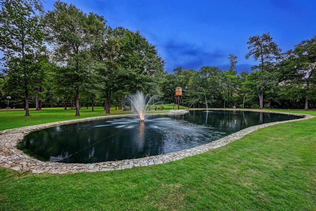 10002 Oxted Lane, Spring, Texas image 47