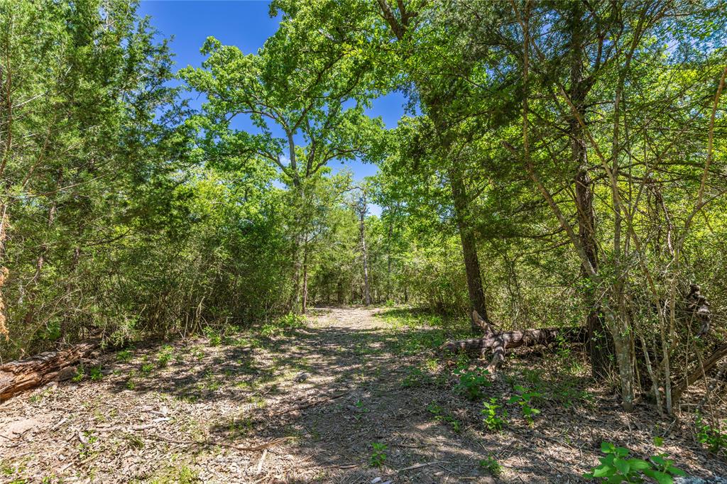 21937 Oak Road, New Ulm, Texas image 14