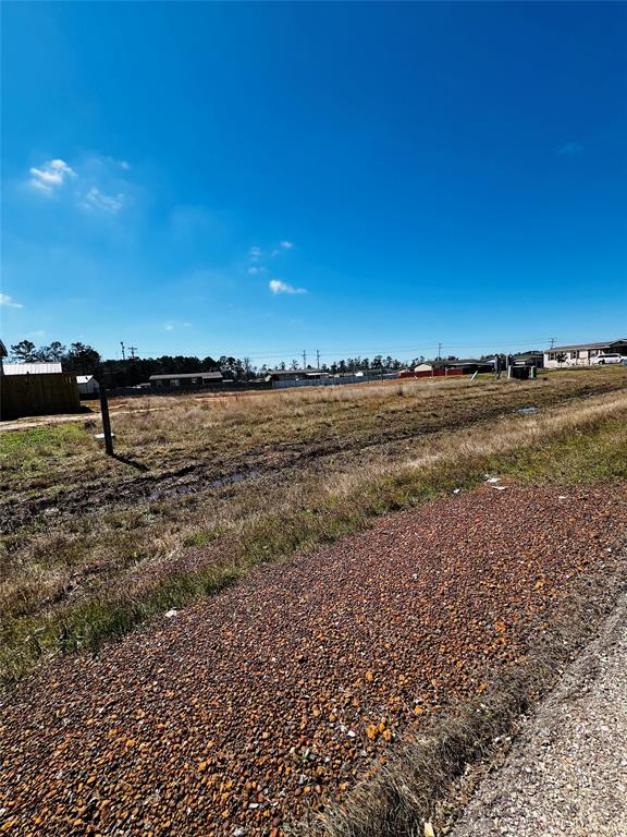 17710 Truckee Trail Lane, Conroe, Texas image 2