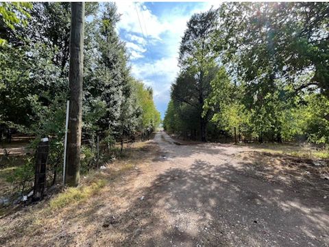 Vacant Land For Sale - 11712 S Fm 1458 Road<br/> Austin County, Sealy, TX 77474