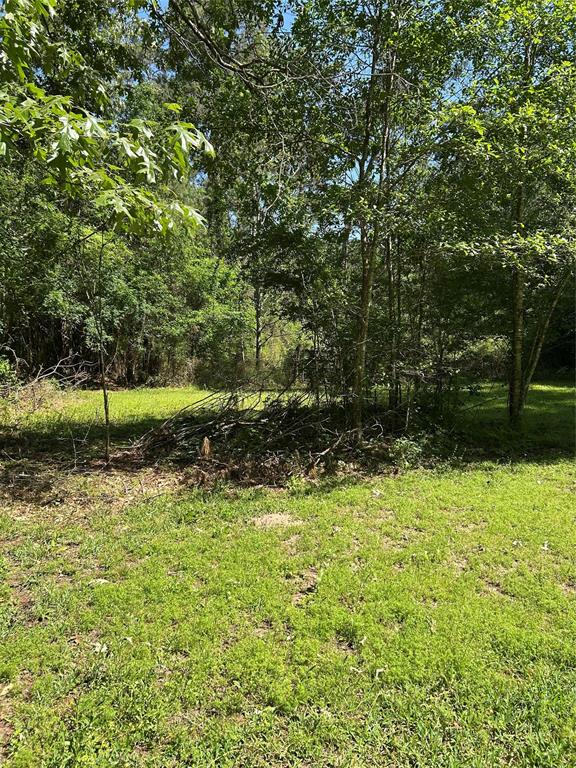 7 Magnolia Lane, Huffman, Texas image 8