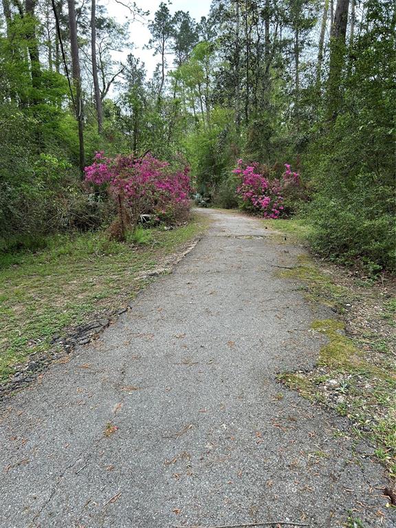 7 Magnolia Lane, Huffman, Texas image 31