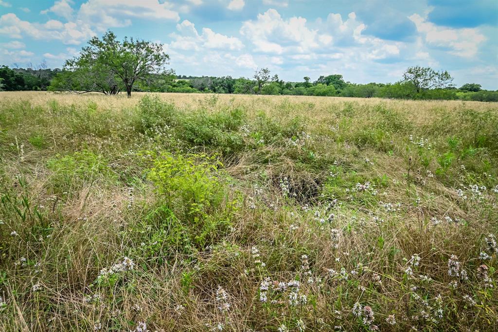 0000 County Road 447, Waelder, Texas image 7