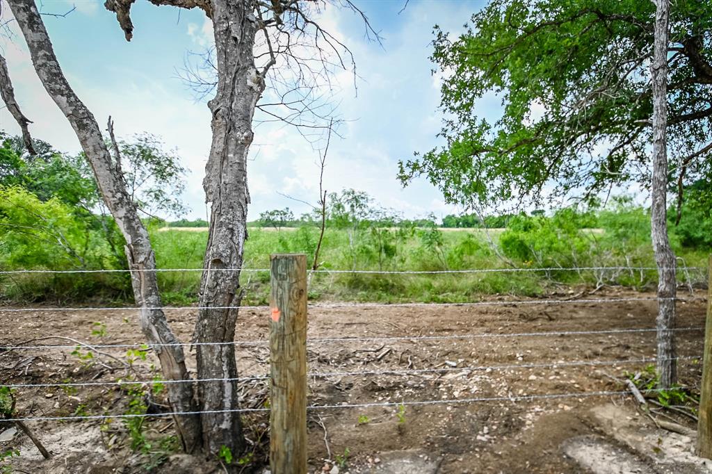 0000 County Road 447, Waelder, Texas image 15