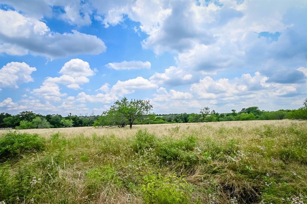 0000 County Road 447, Waelder, Texas image 8