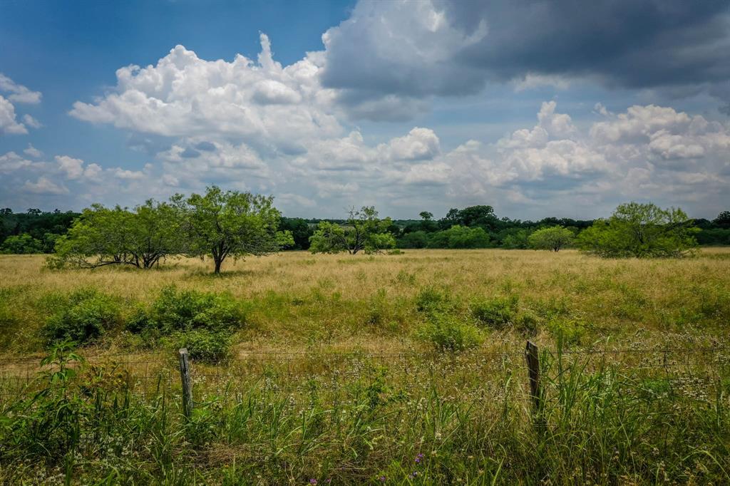 0000 County Road 447, Waelder, Texas image 20