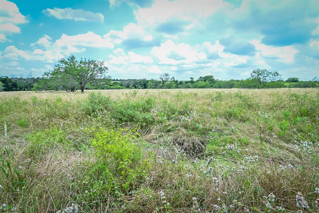 0000 County Road 447, Waelder, Texas image 6