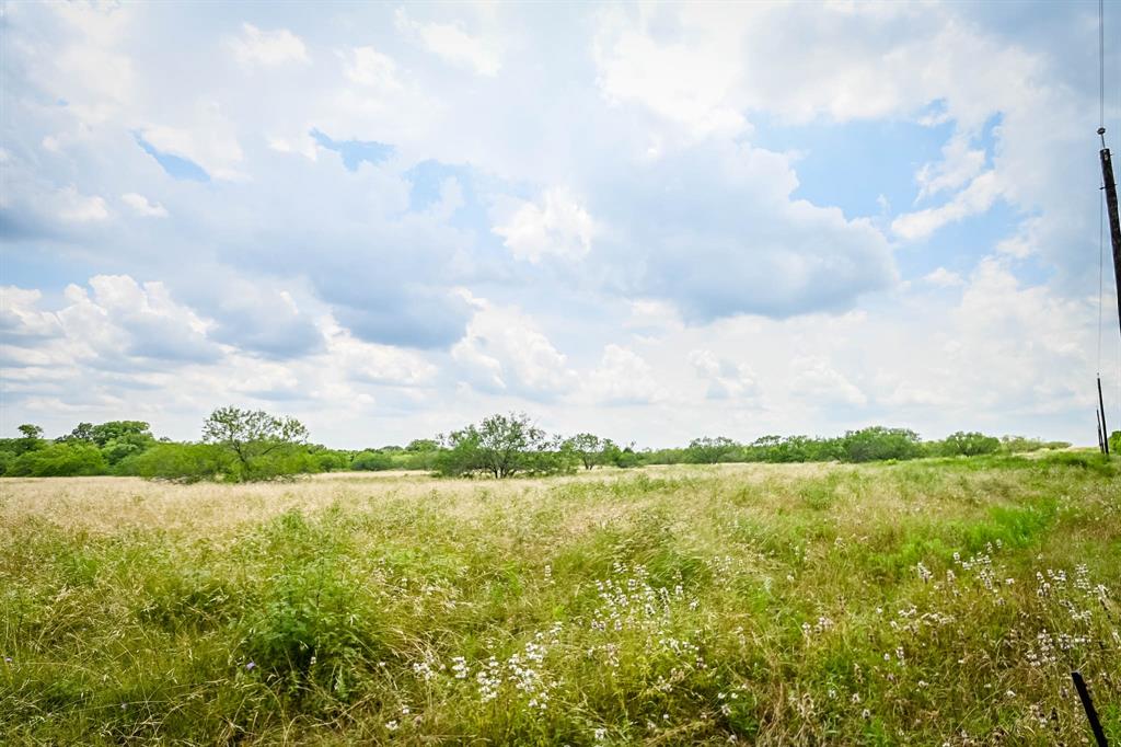 0000 County Road 447, Waelder, Texas image 10