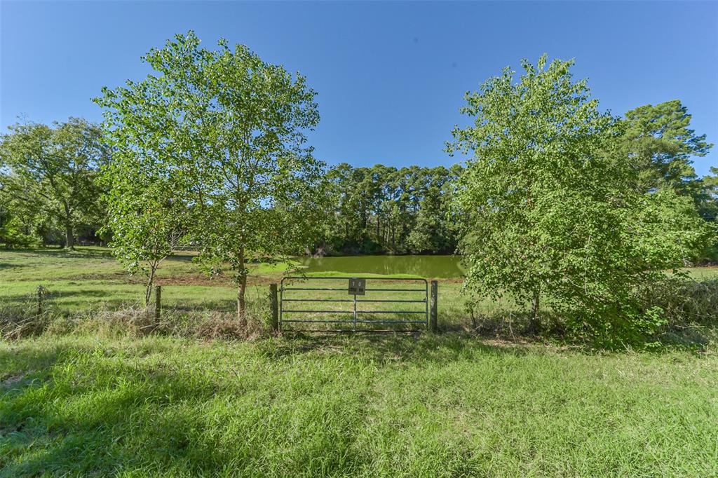 140 Little Road Loop, New Waverly, Texas image 1