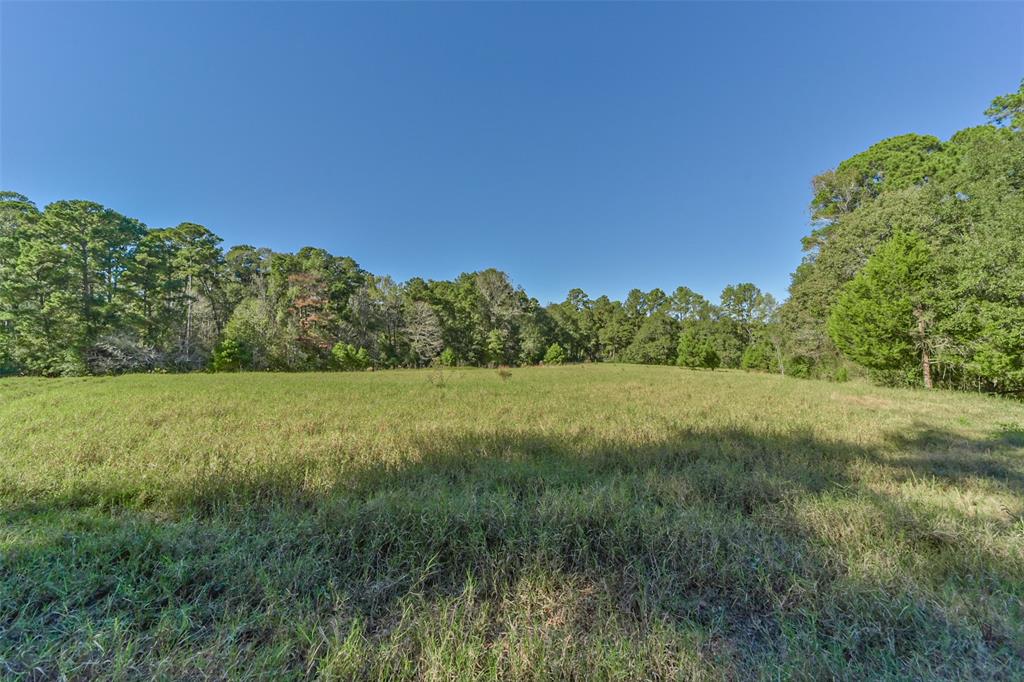 140 Little Road Loop, New Waverly, Texas image 7