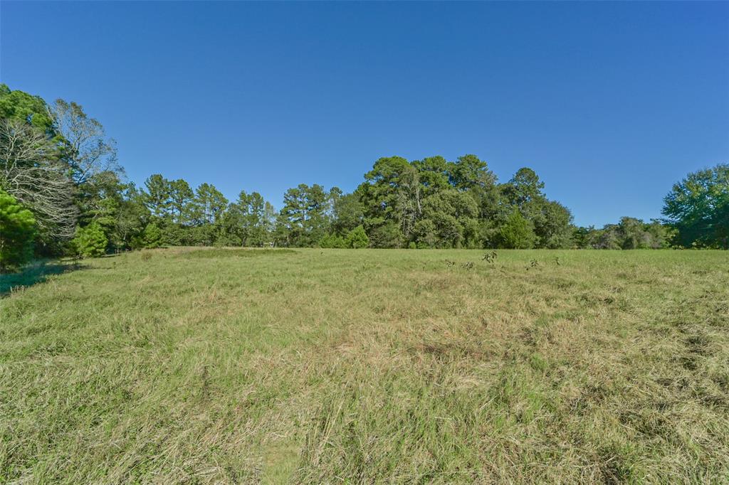 140 Little Road Loop, New Waverly, Texas image 6