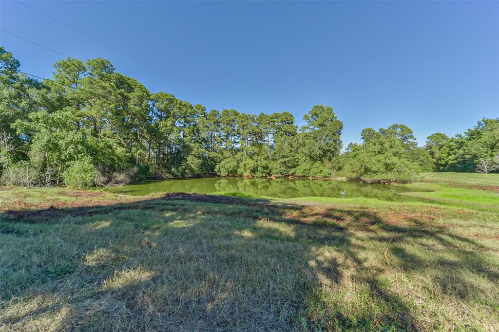 140 Little Road Loop, New Waverly, Texas image 9