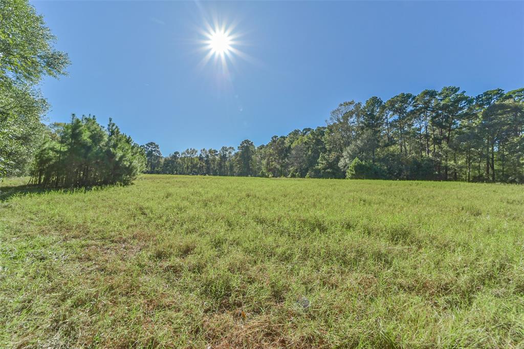 140 Little Road Loop, New Waverly, Texas image 8