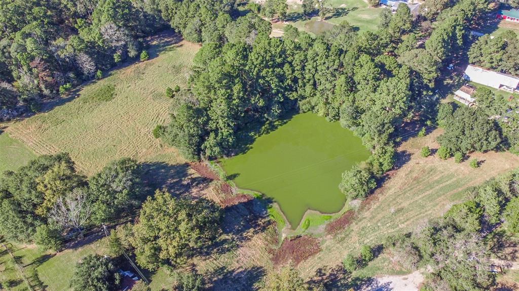 140 Little Road Loop, New Waverly, Texas image 4