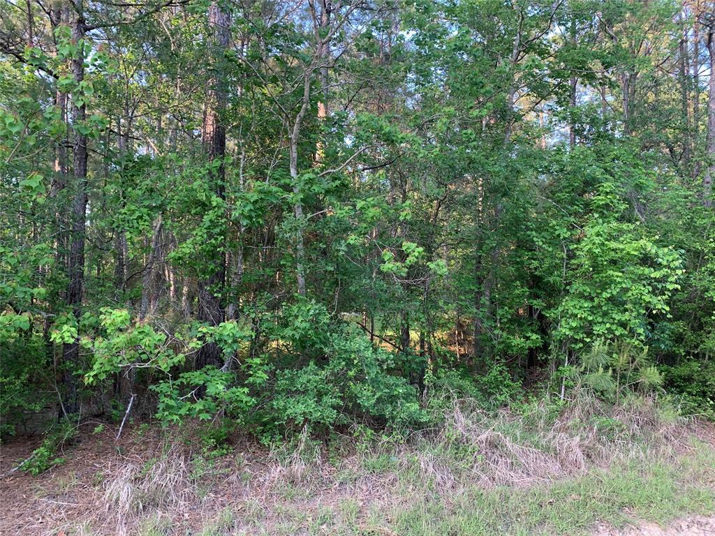 000 Turtle Road, Wallisville, Texas image 5