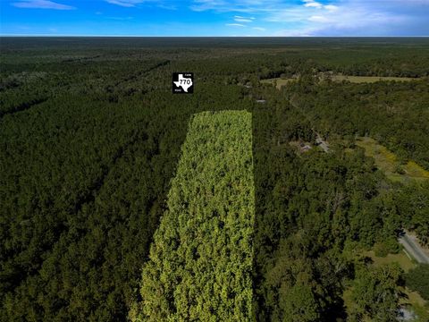 Vacant Land For Sale - Fm 770<br/> Hardin County, Kountze, TX 77625