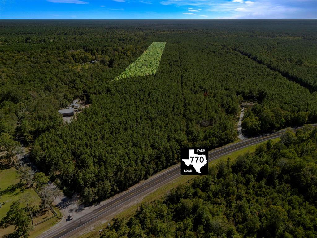Fm 770, Kountze, Texas image 3