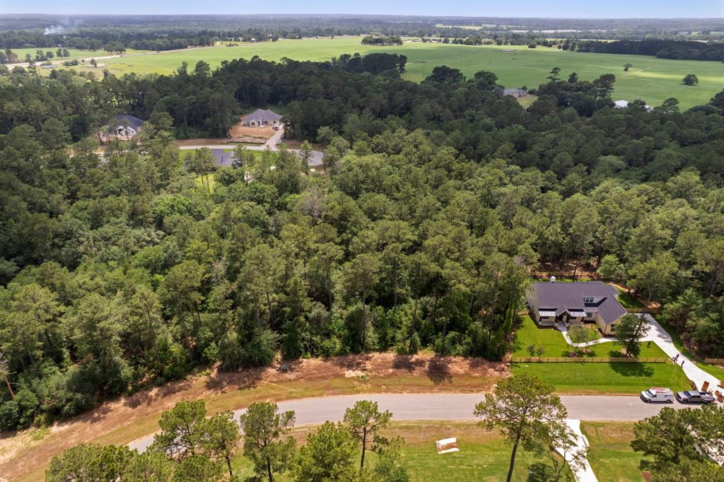 9490 Cedar Bnd Bnd, Plantersville, Texas image 17