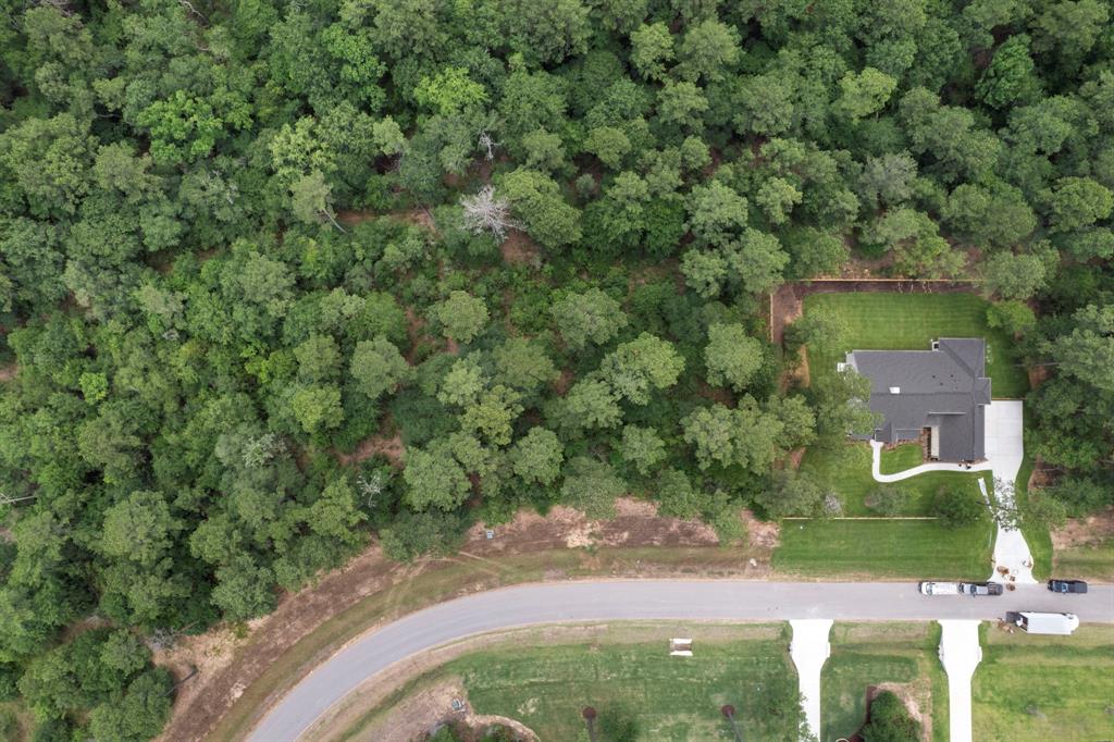 9490 Cedar Bnd Bnd, Plantersville, Texas image 11