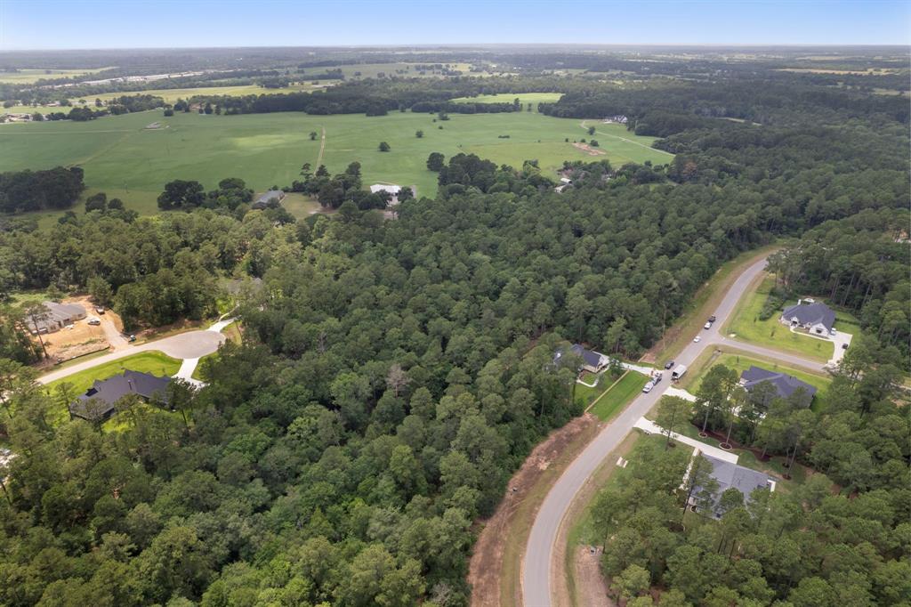 9490 Cedar Bnd Bnd, Plantersville, Texas image 13