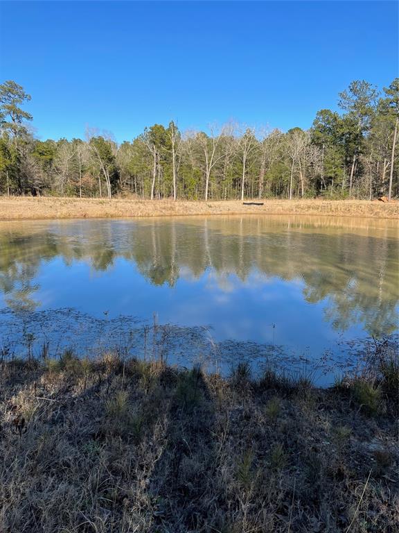 00 Saratoga Woods, Montgomery, Texas image 3