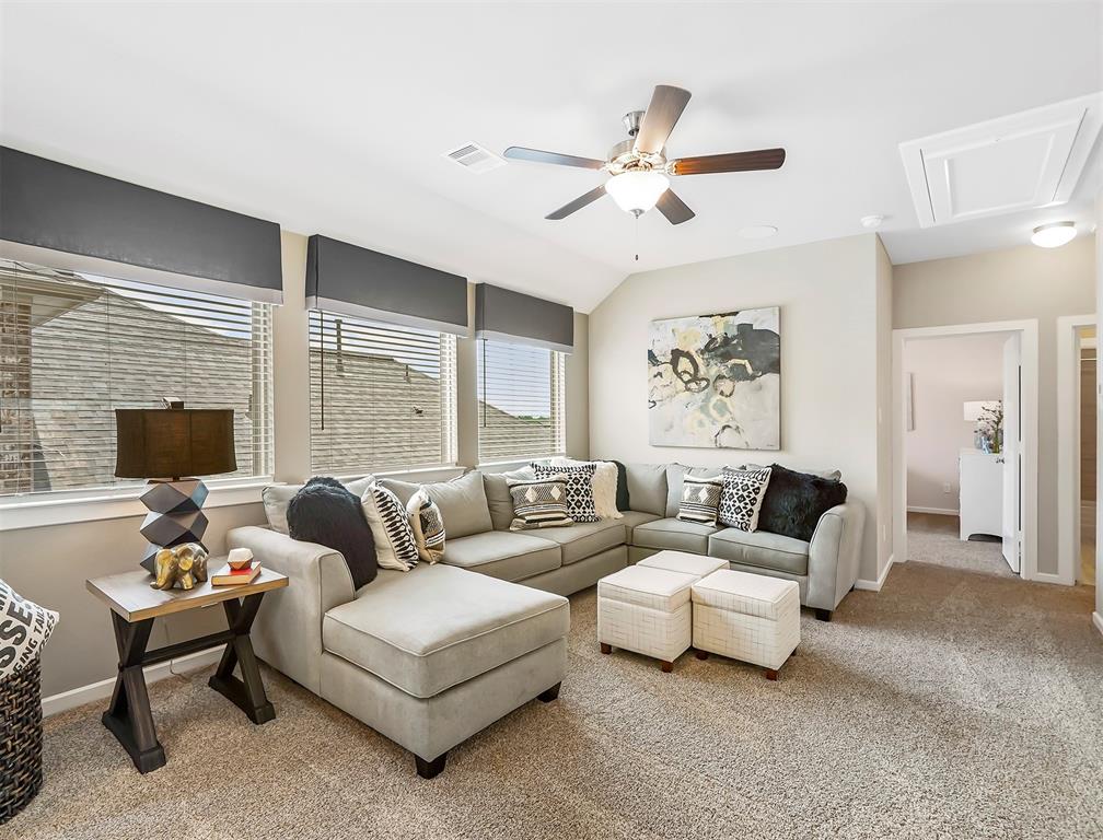 17035 Lilac Paxton Lane, Hockley, Texas image 17