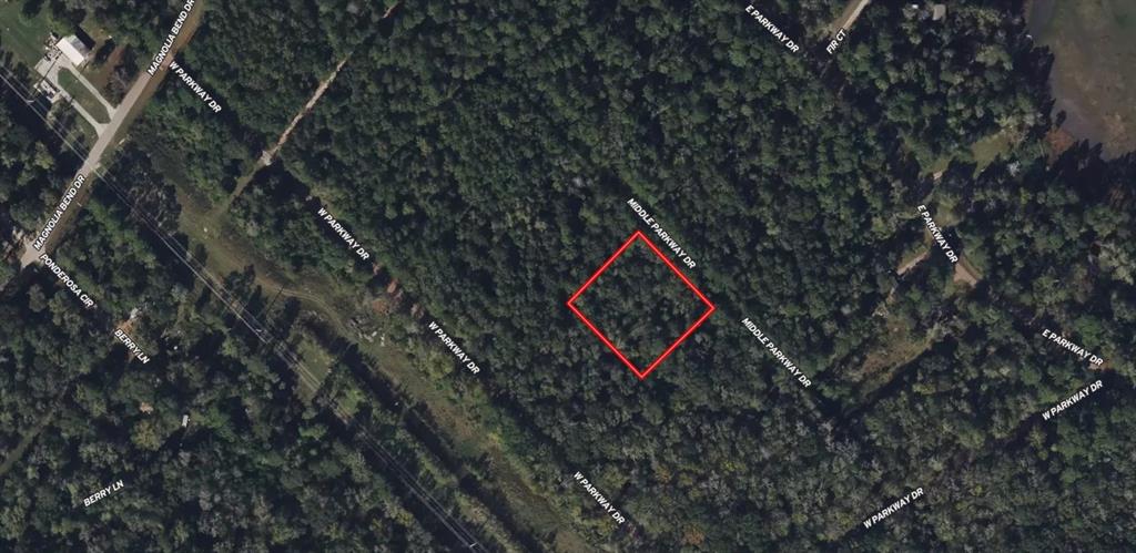 00 Middle Parkway Dr, Conroe, Texas image 3