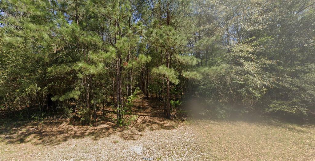 00 Middle Parkway Dr, Conroe, Texas image 1