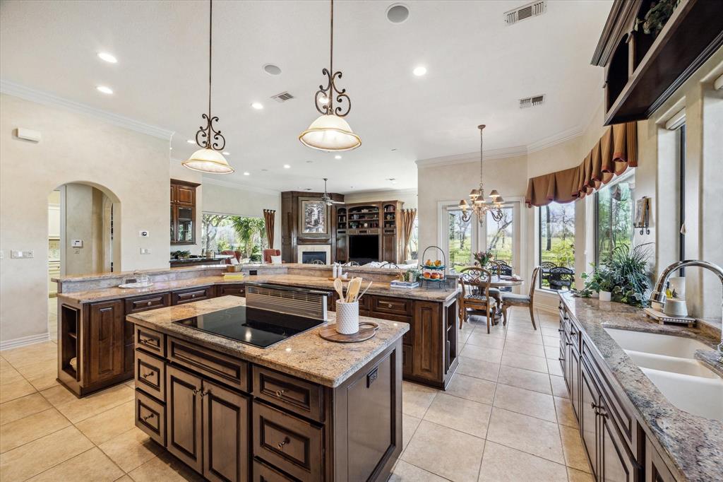 1 Commanders Point, Missouri City, Texas image 13