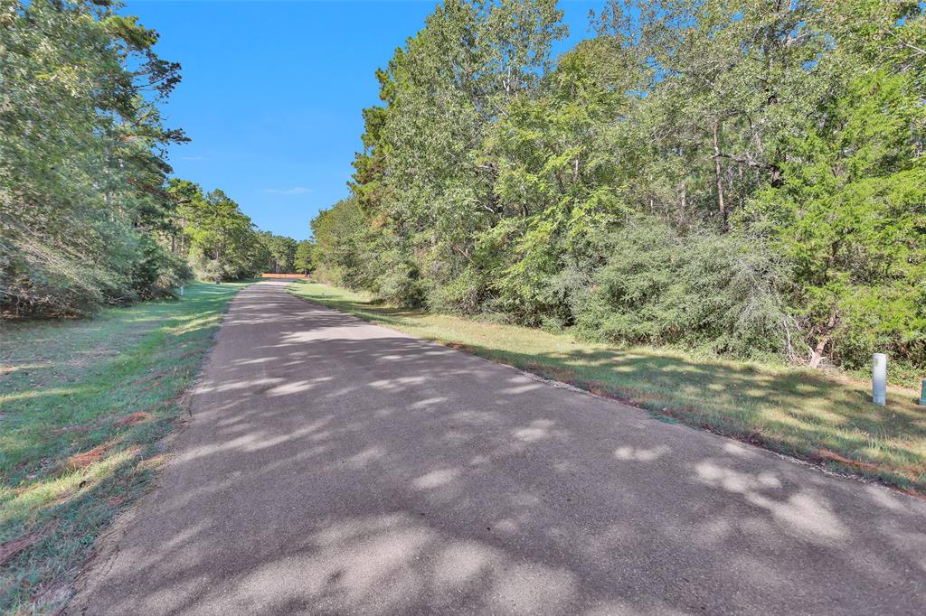 TBD Newport Way, Huntsville, Texas image 4