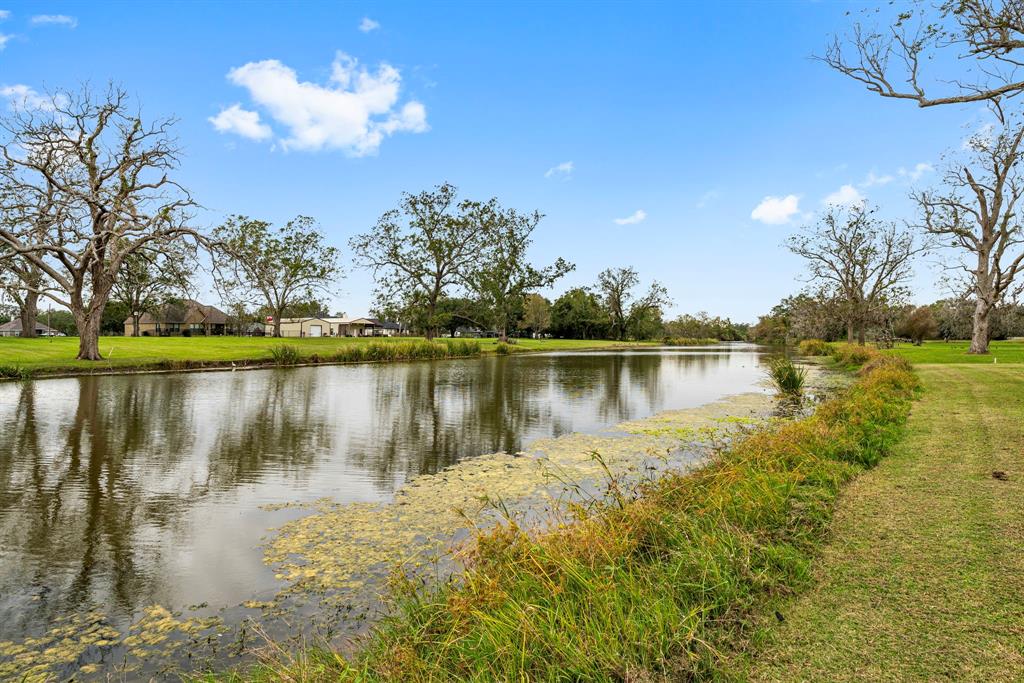 438 Winchester Trail, Angleton, Texas image 30