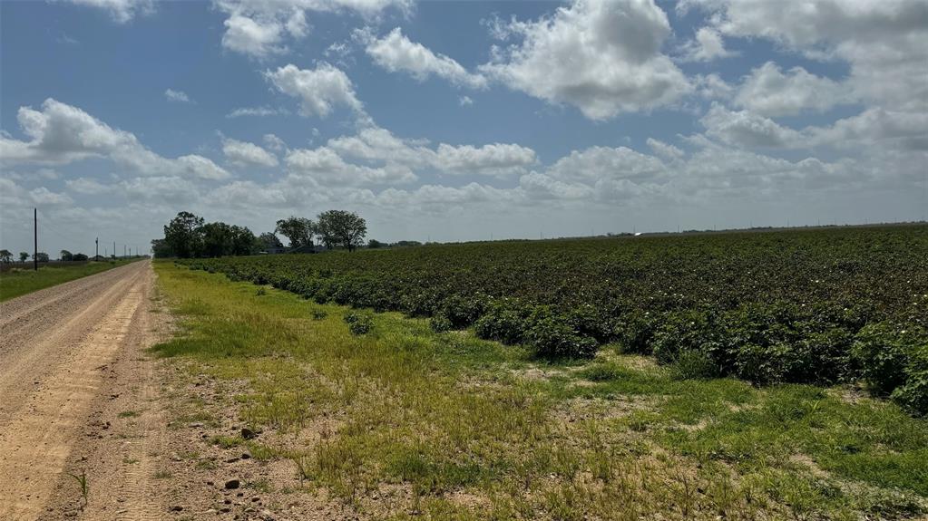 TBD Lot 1 County Road 414, El Campo, Texas image 7