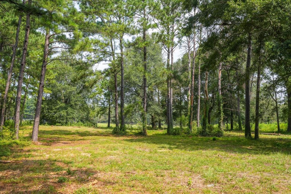 TBD County Road 2010, Newton, Texas image 11