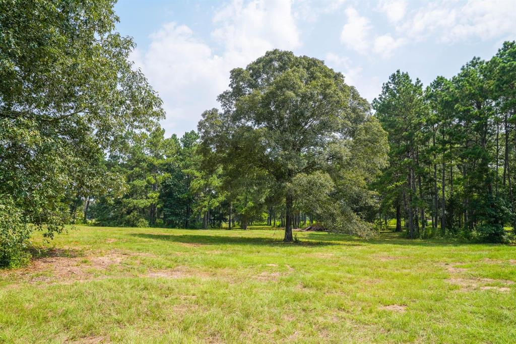 TBD County Road 2010, Newton, Texas image 15