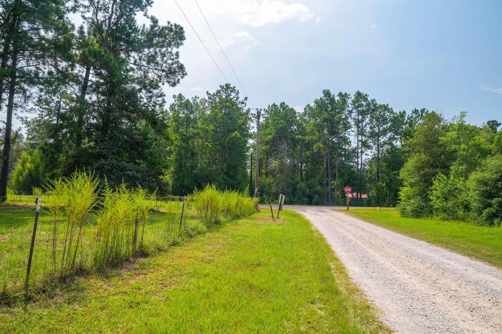 TBD County Road 2010, Newton, Texas image 5