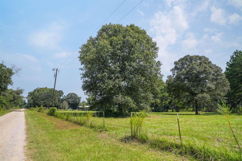 TBD County Road 2010, Newton, Texas image 9