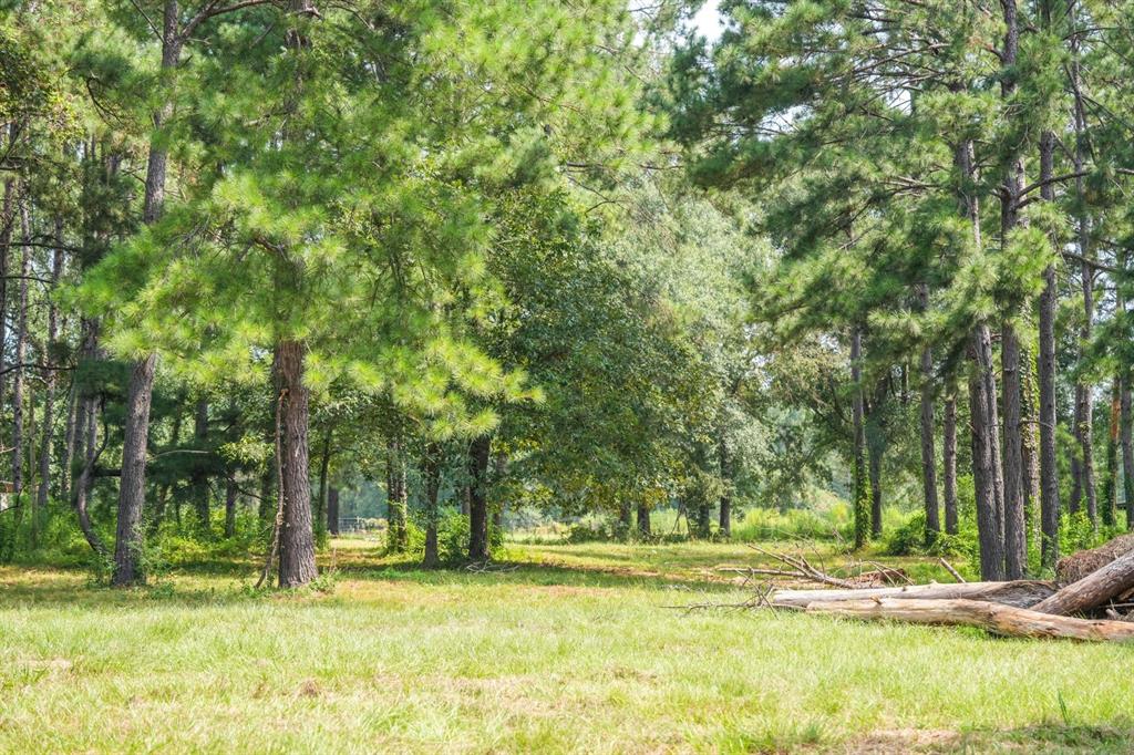 TBD County Road 2010, Newton, Texas image 3