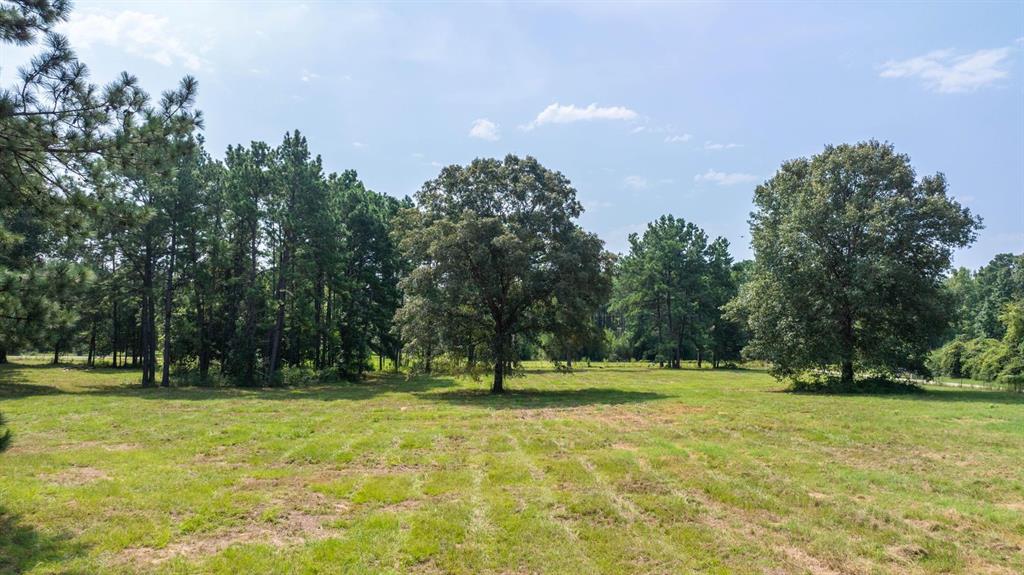 TBD County Road 2010, Newton, Texas image 13