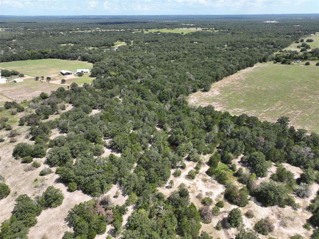 000 Makinson Road, West Point, Texas image 5