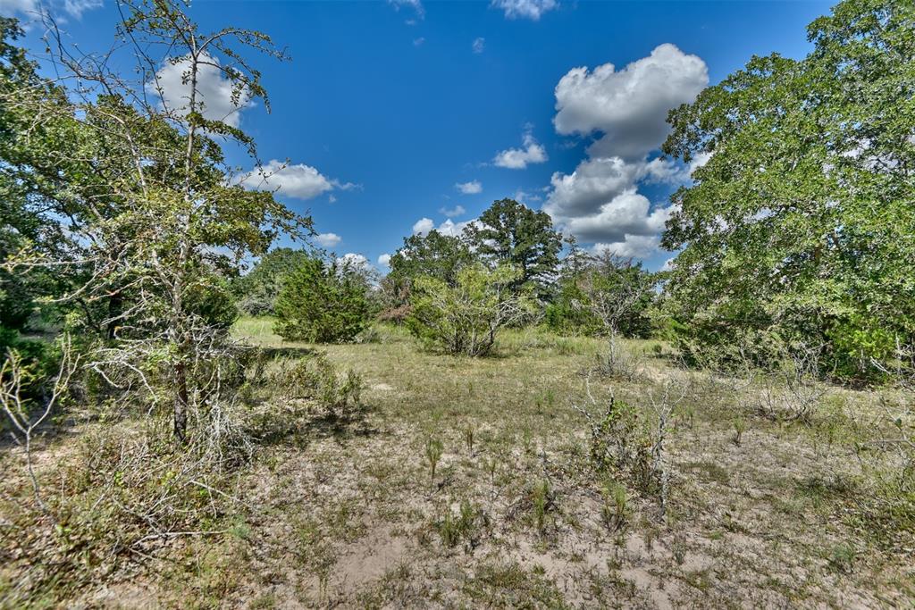 000 Makinson Road, West Point, Texas image 17